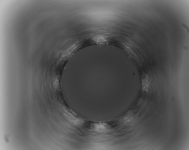 X0000102240618200808011249