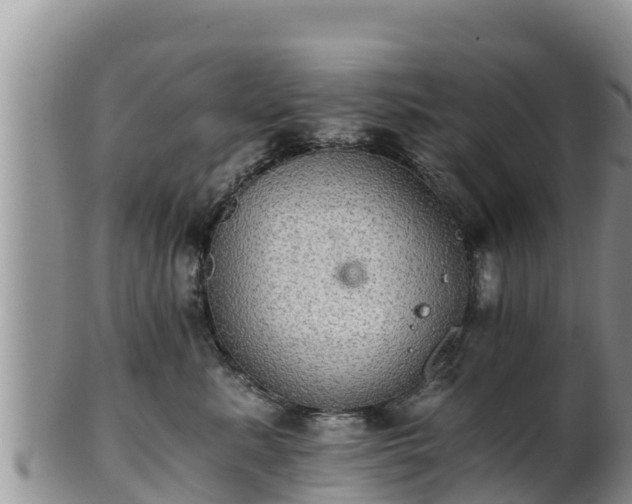 X0000102240619200808011249