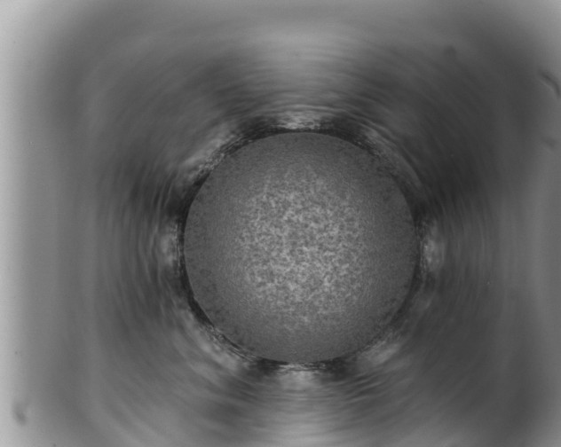 X0000102240620200808011249