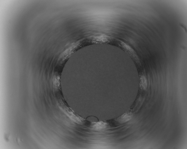 X0000102240621200808011249