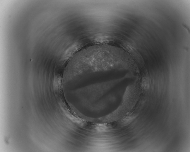 X0000102240623200808011249