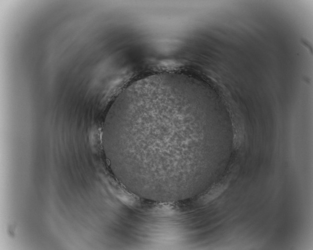 X0000102240624200808011249