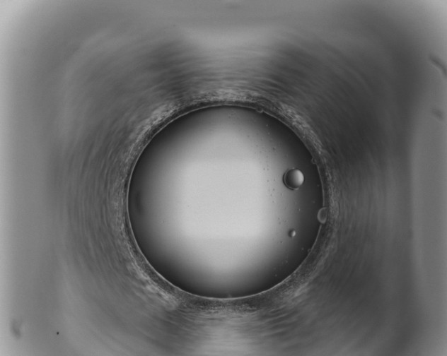 X0000102240625200808011249