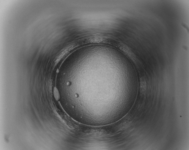 X0000102240626200808011249