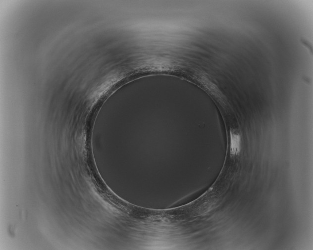 X0000102240627200808011249