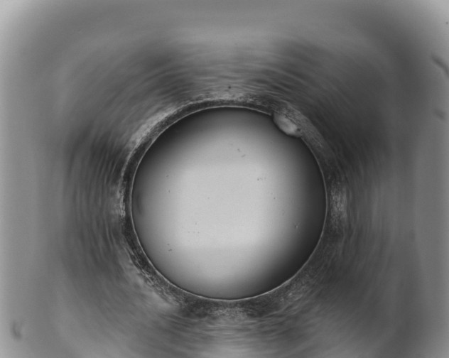 X0000102240628200808011249