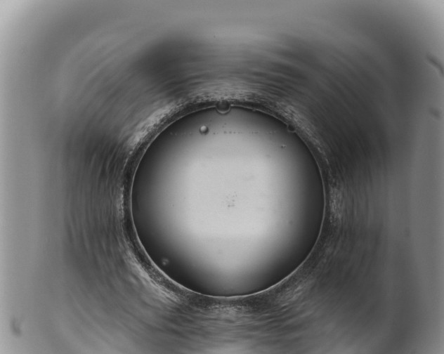 X0000102240629200808011249