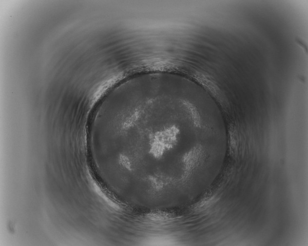 X0000102240630200808011249