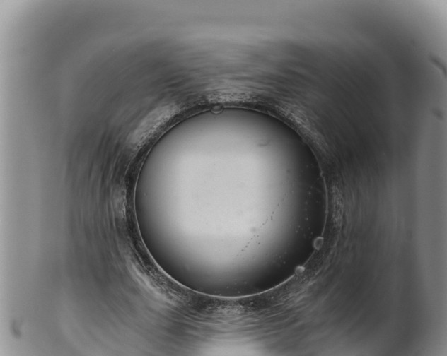 X0000102240631200808011249