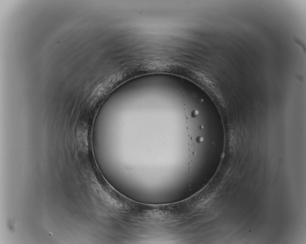 X0000102240633200808011249