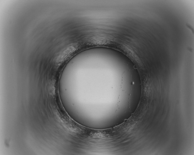 X0000102240635200808011249