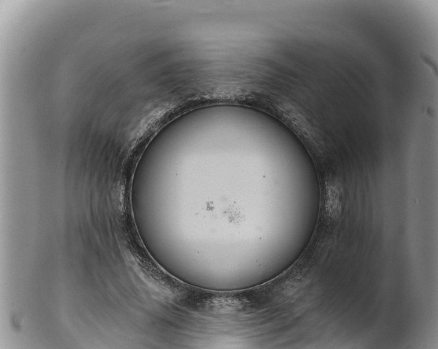 X0000102240636200808011249