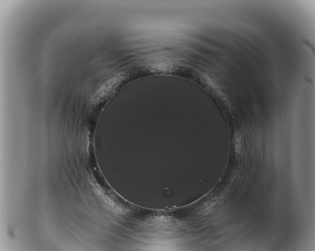 X0000102240637200808011249