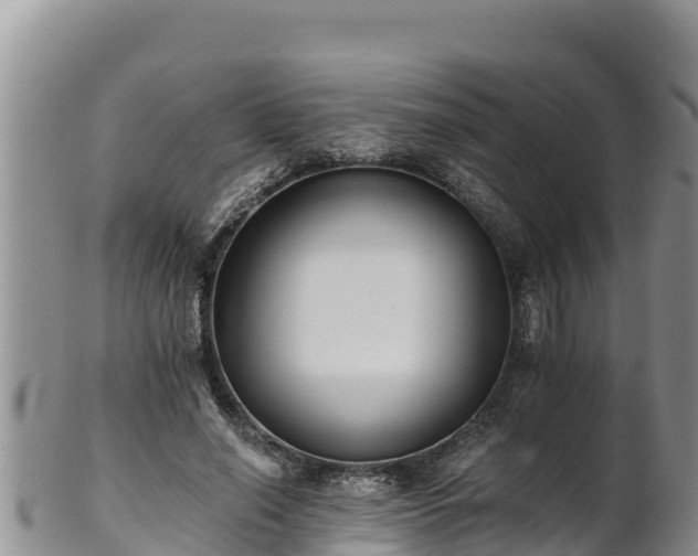 X0000102240638200808011249