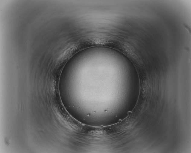 X0000102240639200808011249