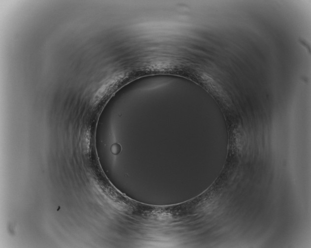 X0000102240640200808011249