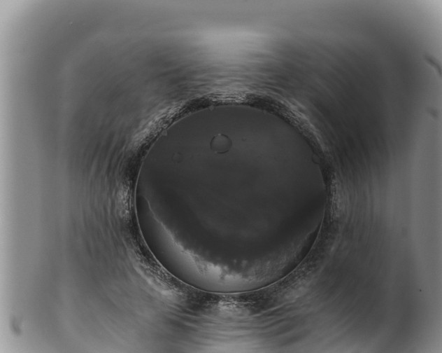 X0000102240641200808011249