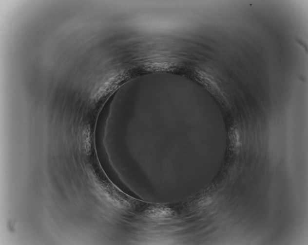 X0000102240642200808011249