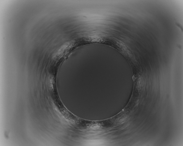 X0000102240643200808011249