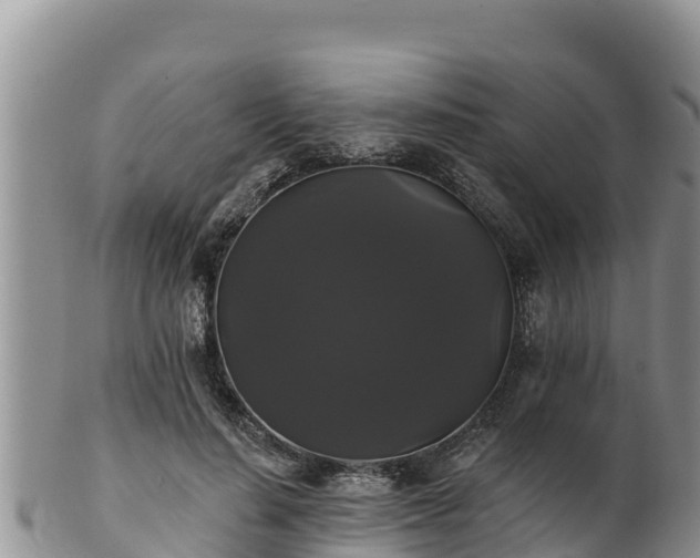 X0000102240644200808011249