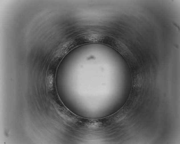 X0000102240646200808011249