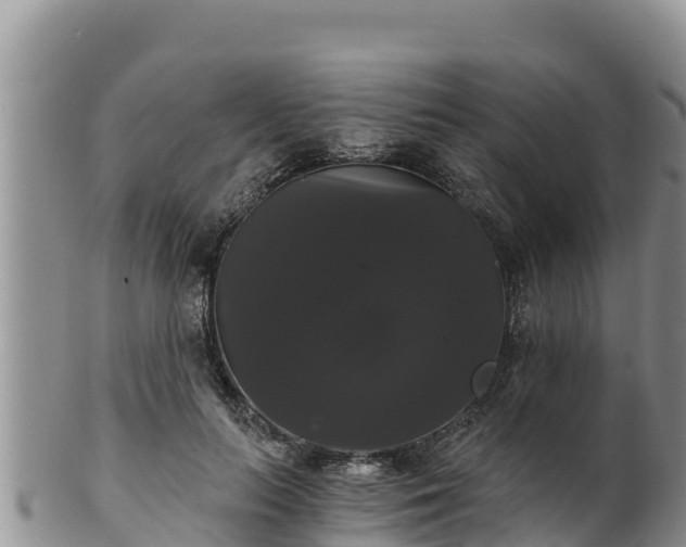 X0000102240647200808011249