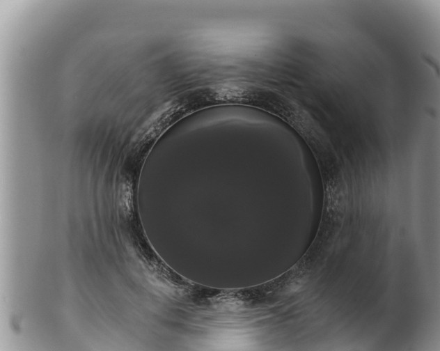 X0000102240648200808011249