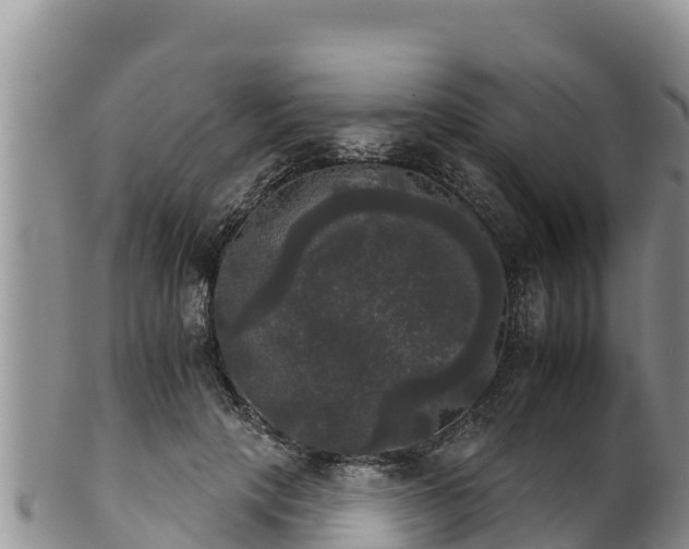 X0000102240649200808011249