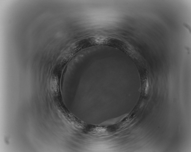 X0000102240651200808011249