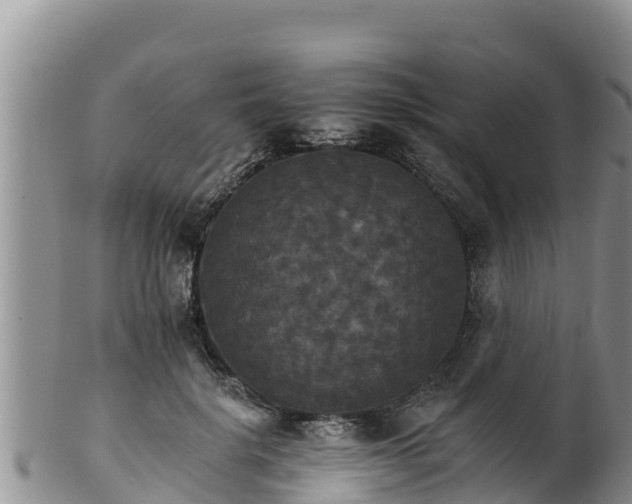 X0000102240652200808011249