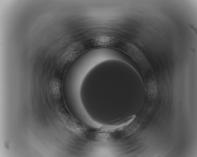 X0000102240653200808011249