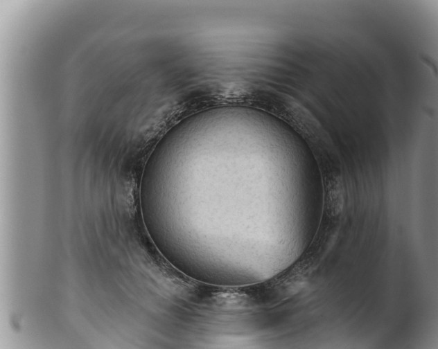 X0000102240654200808011249