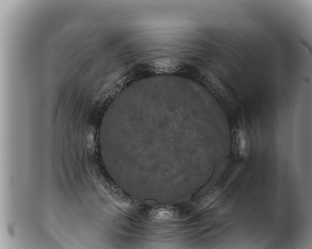 X0000102240655200808011249