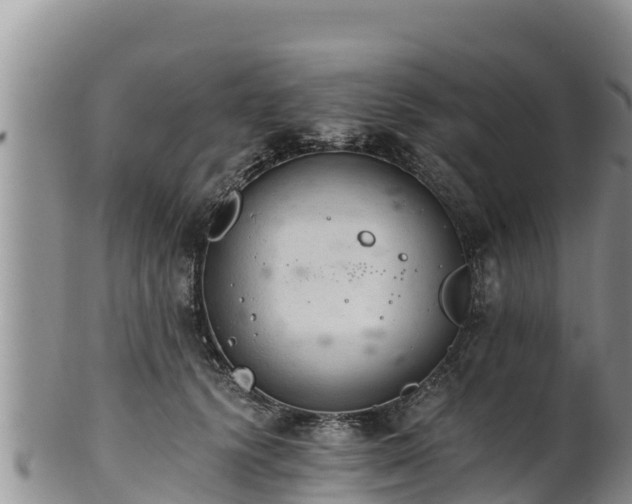 X0000102240656200808011249