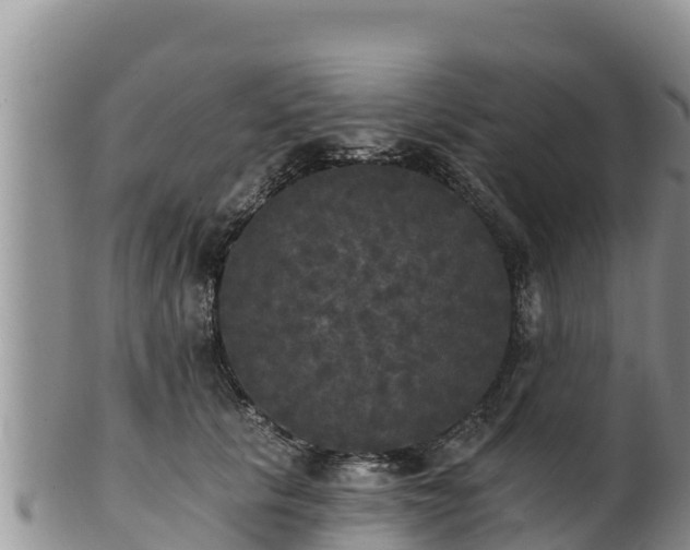 X0000102240657200808011249