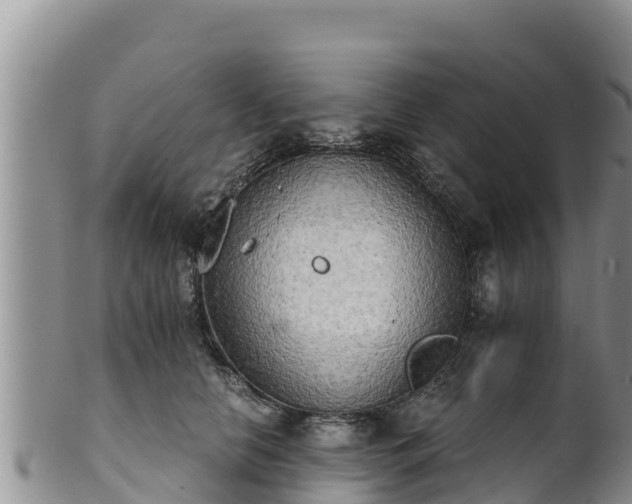 X0000102240658200808011249