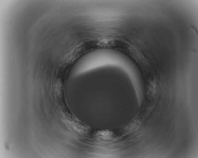 X0000102240659200808011249