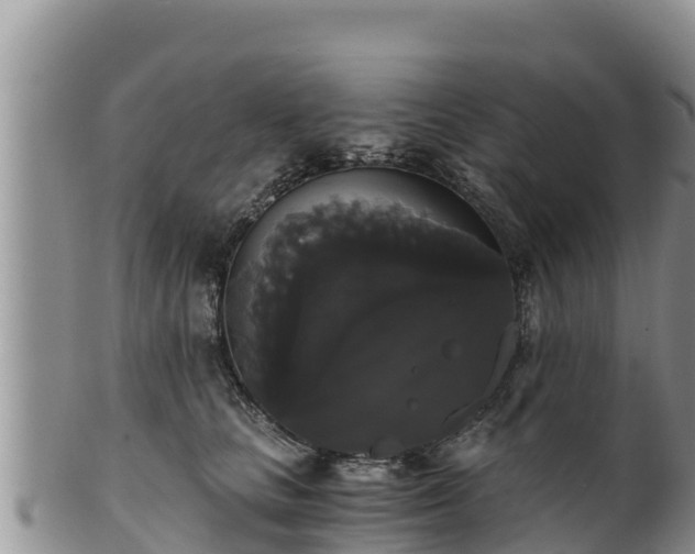 X0000102240661200808011249