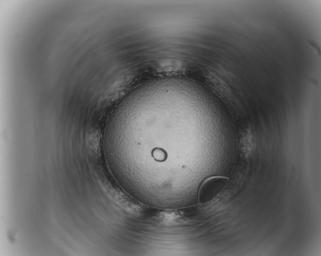 X0000102240662200808011249