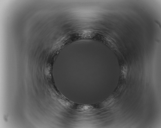 X0000102240663200808011249