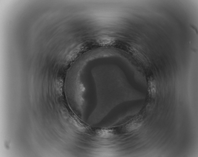 X0000102240664200808011249