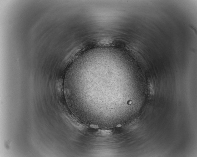 X0000102240665200808011249