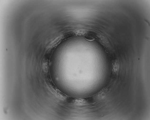 X0000102240666200808011249