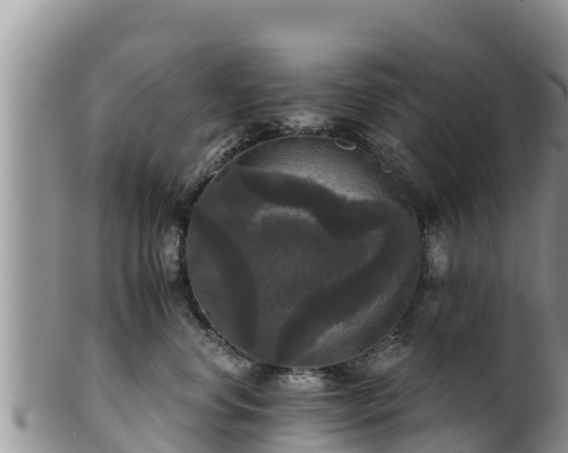 X0000102240668200808011249