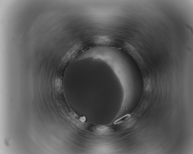 X0000102240669200808011249