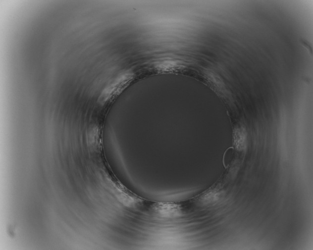 X0000102240670200808011249