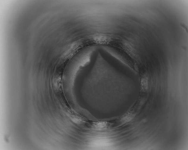 X0000102240671200808011249