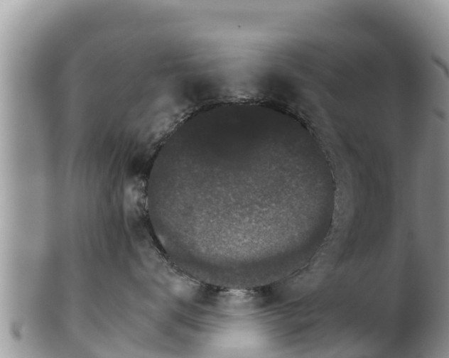 X0000102240672200808011249