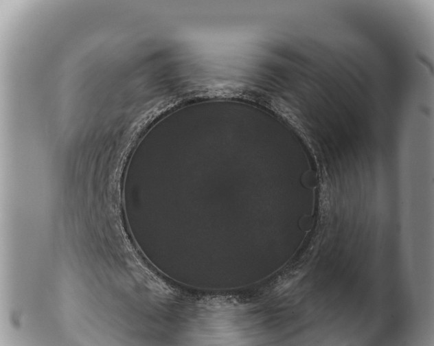 X0000102240673200808011249