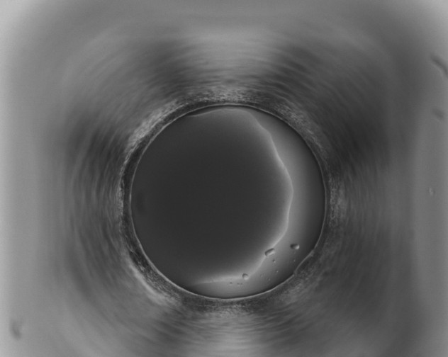 X0000102240674200808011249